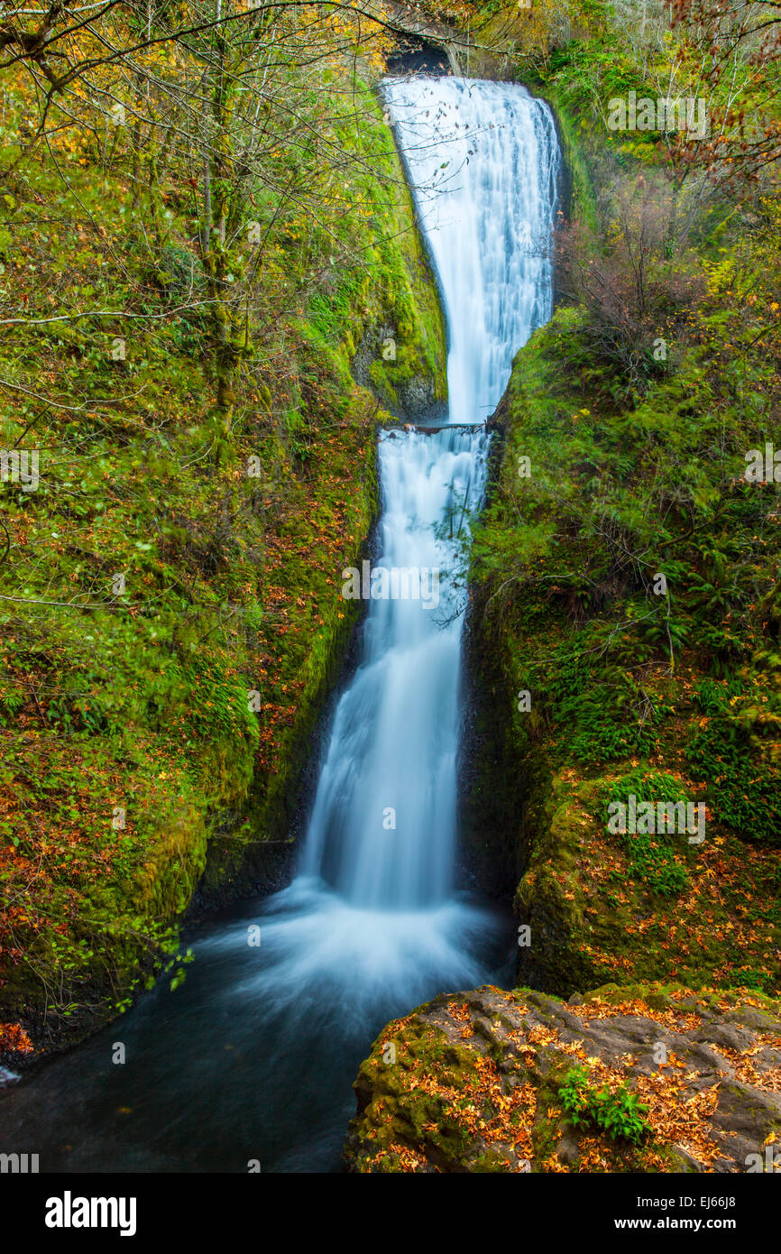 Bridal Veil Bach stürzt 150 Fuß über Bridal Veil Falls im Bridal Veil State Park in der Columbia River Gorge National Scenic Stockfoto