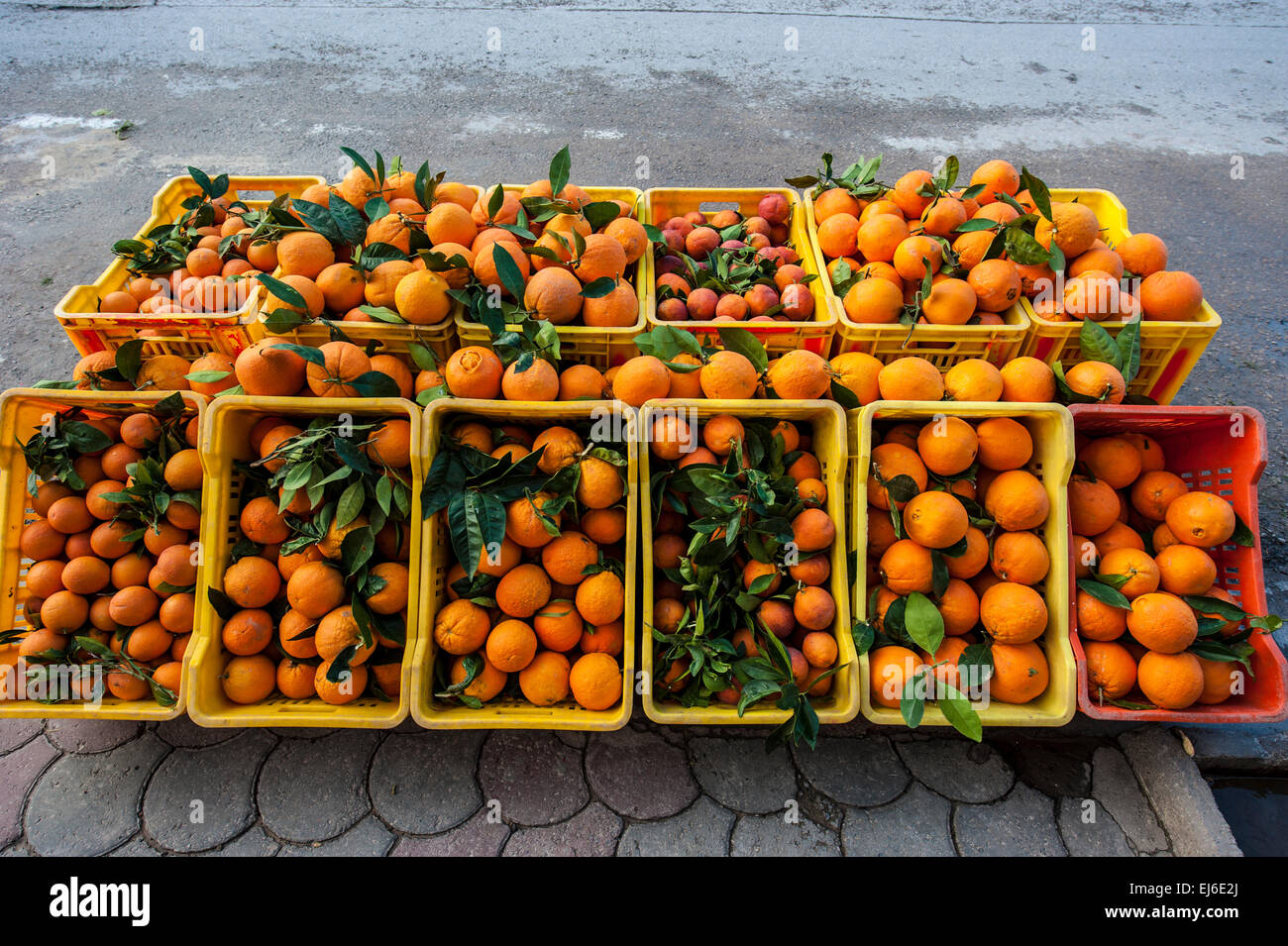Orangen zu verkaufen in Hammamet, Tunesien. Stockfoto