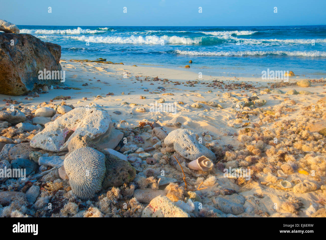 Strand von Isla Mujeres Detail Stockfoto