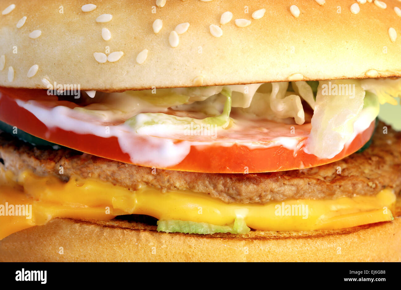 Makro-frisch ein leckerer Burger mit Fleisch Stockfoto