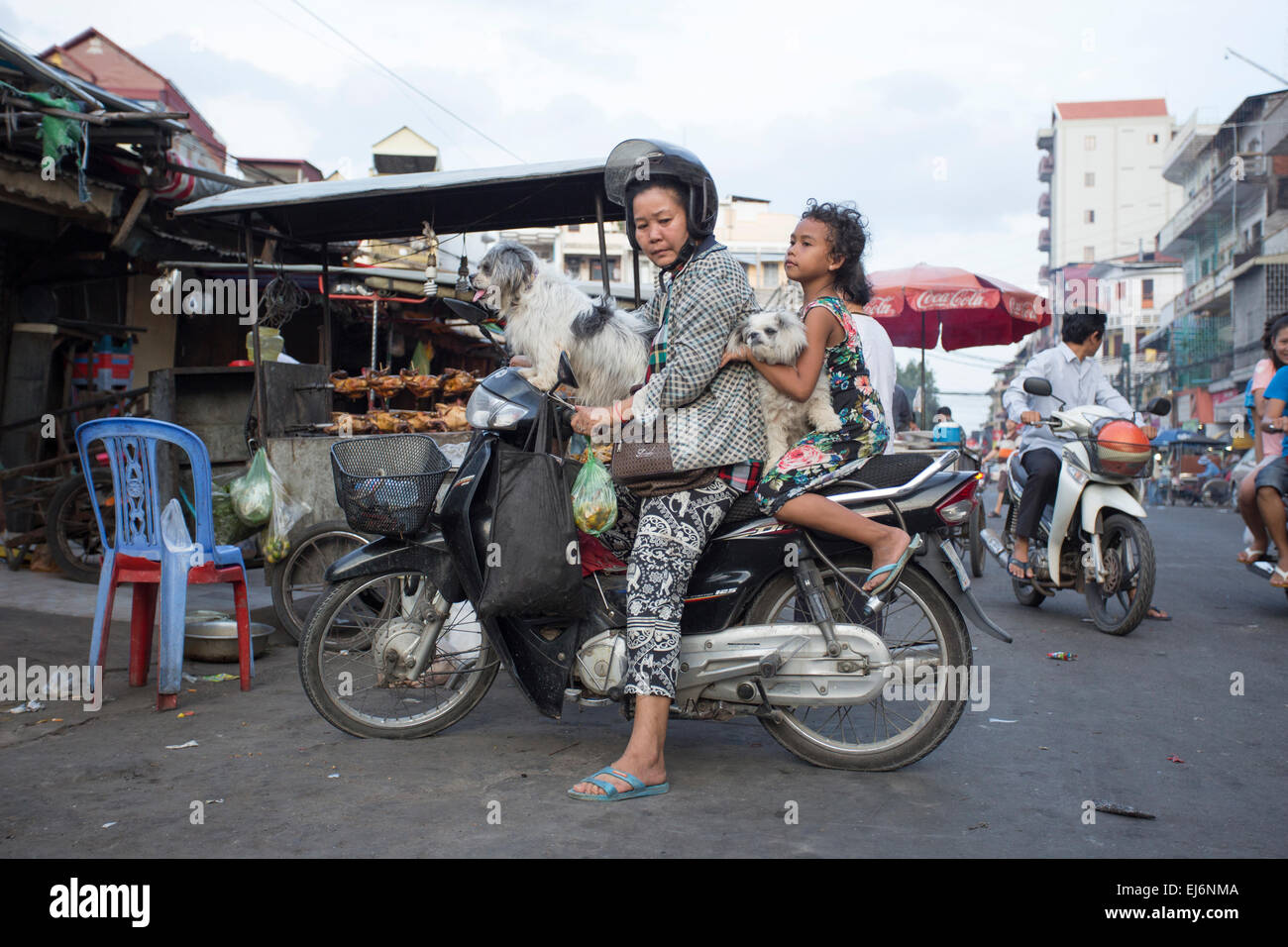 Mädchen und ihre Hunde auf dem Motorrad in Phnom Penh Kambodscha Stockfoto