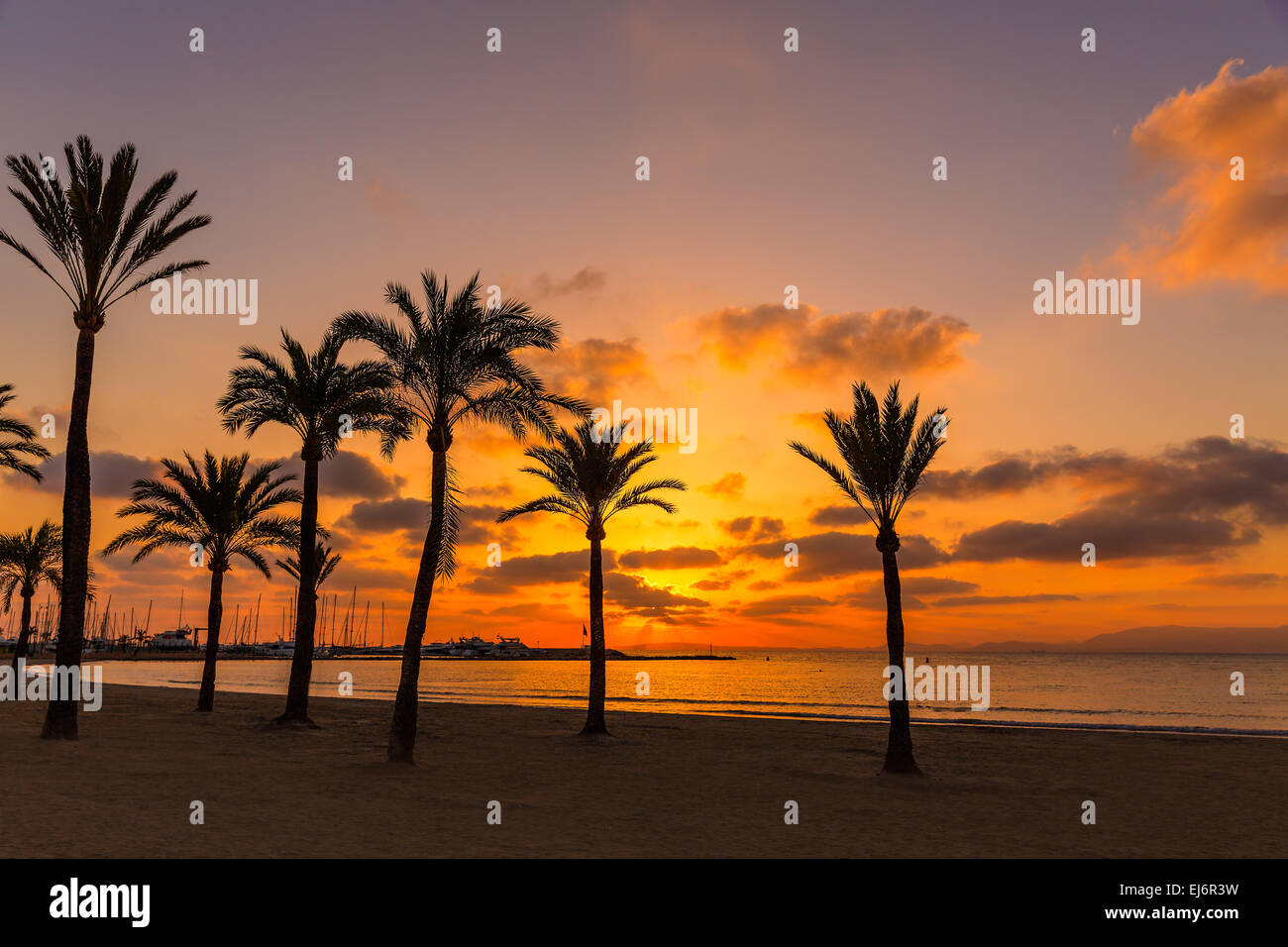 Mallorca El Arenal sArenal Strand Sonnenuntergang in der Nähe von Palma De Mallorca Balearen Spanien Stockfoto