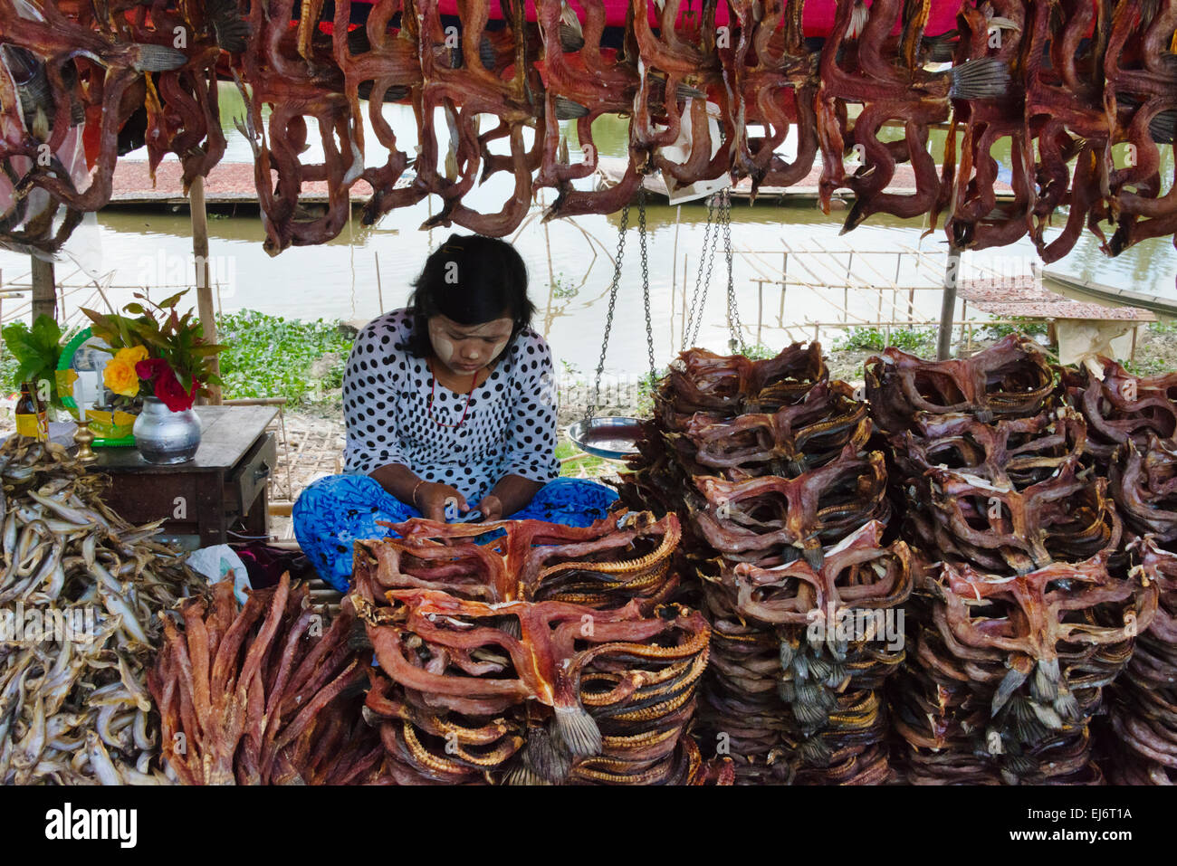 Trocknenden Fisch im Dorf Mon State in Myanmar Stockfoto