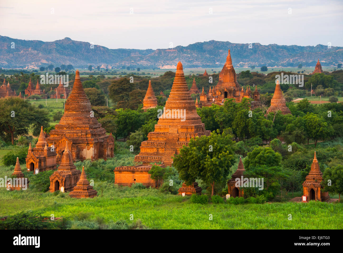 Antike Tempel und Pagoden steigt aus dem Dschungel bei Sonnenaufgang, Bagan, Mandalay Region, Myanmar Stockfoto