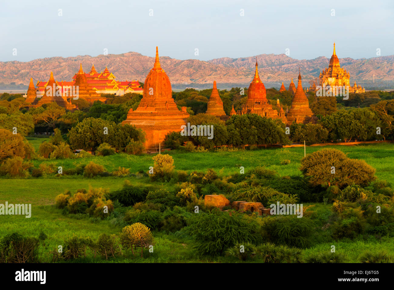 Antike Tempel und Pagoden steigt aus dem Dschungel bei Sonnenaufgang, Bagan, Mandalay Region, Myanmar Stockfoto
