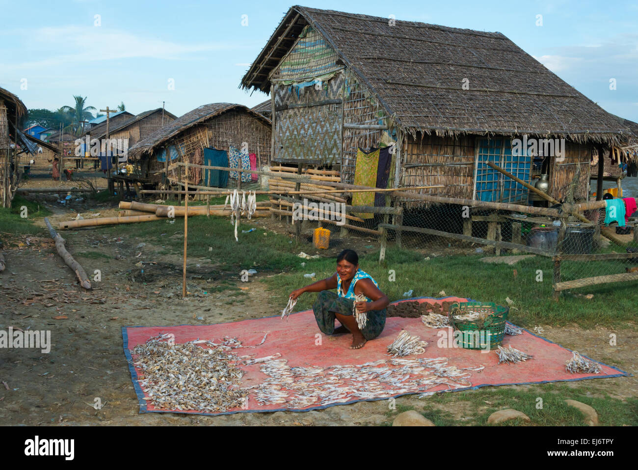 Frau Trocknen der Fische in das Fischerdorf, Sittwe, Rakhine State in Myanmar Stockfoto