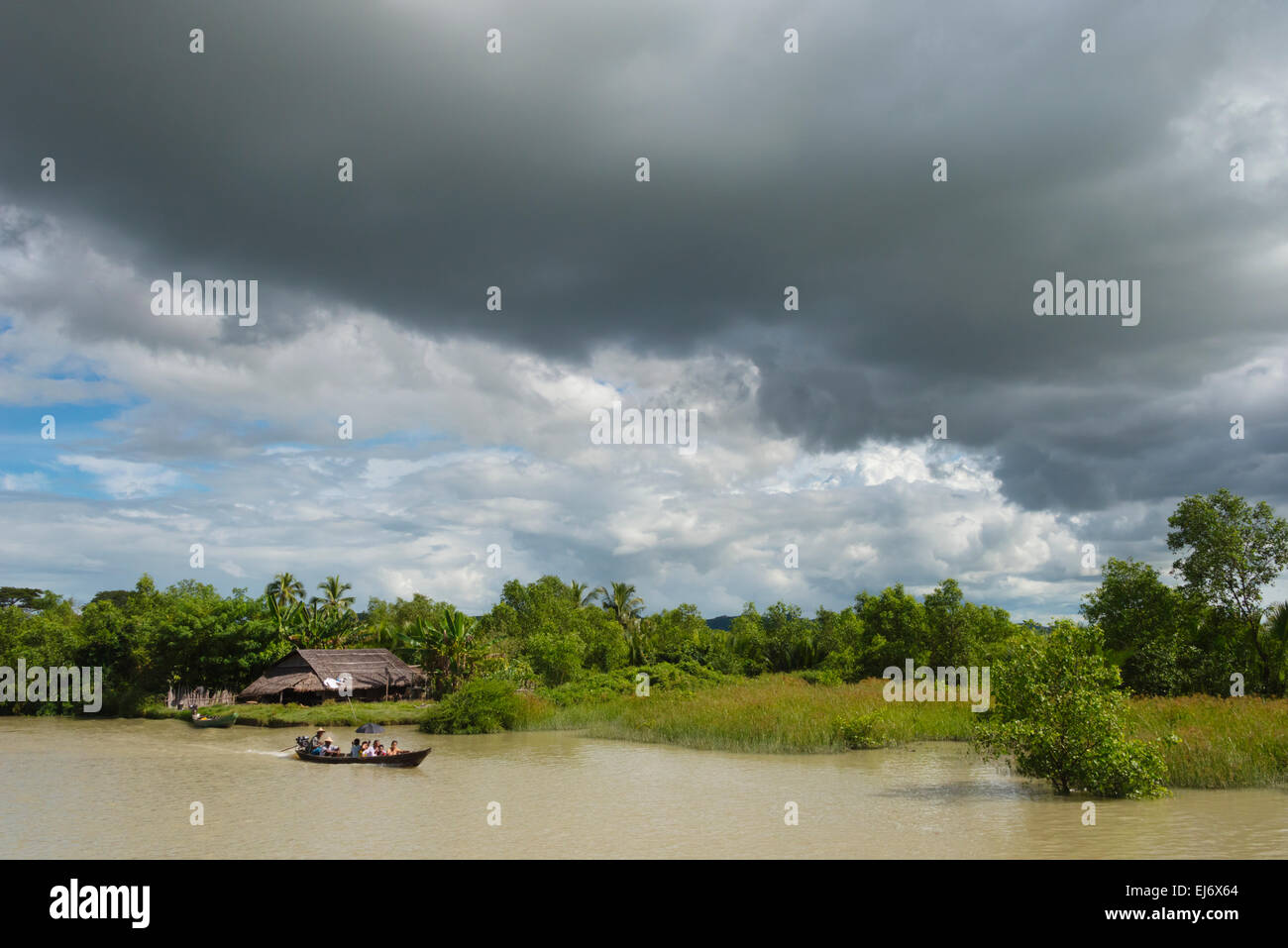 Landschaft entlang des Flusses Kaladan, zwischen Sittwe und Mrauk-U, Rakhine State in Myanmar Stockfoto