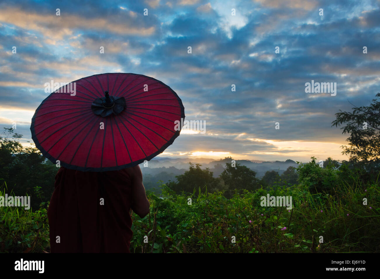 Mönch mit Regenschirm beobachten antiken Tempel und Pagoden im Dschungel bei Sonnenaufgang, Mrauk-U, Rakhine State in Myanmar Stockfoto