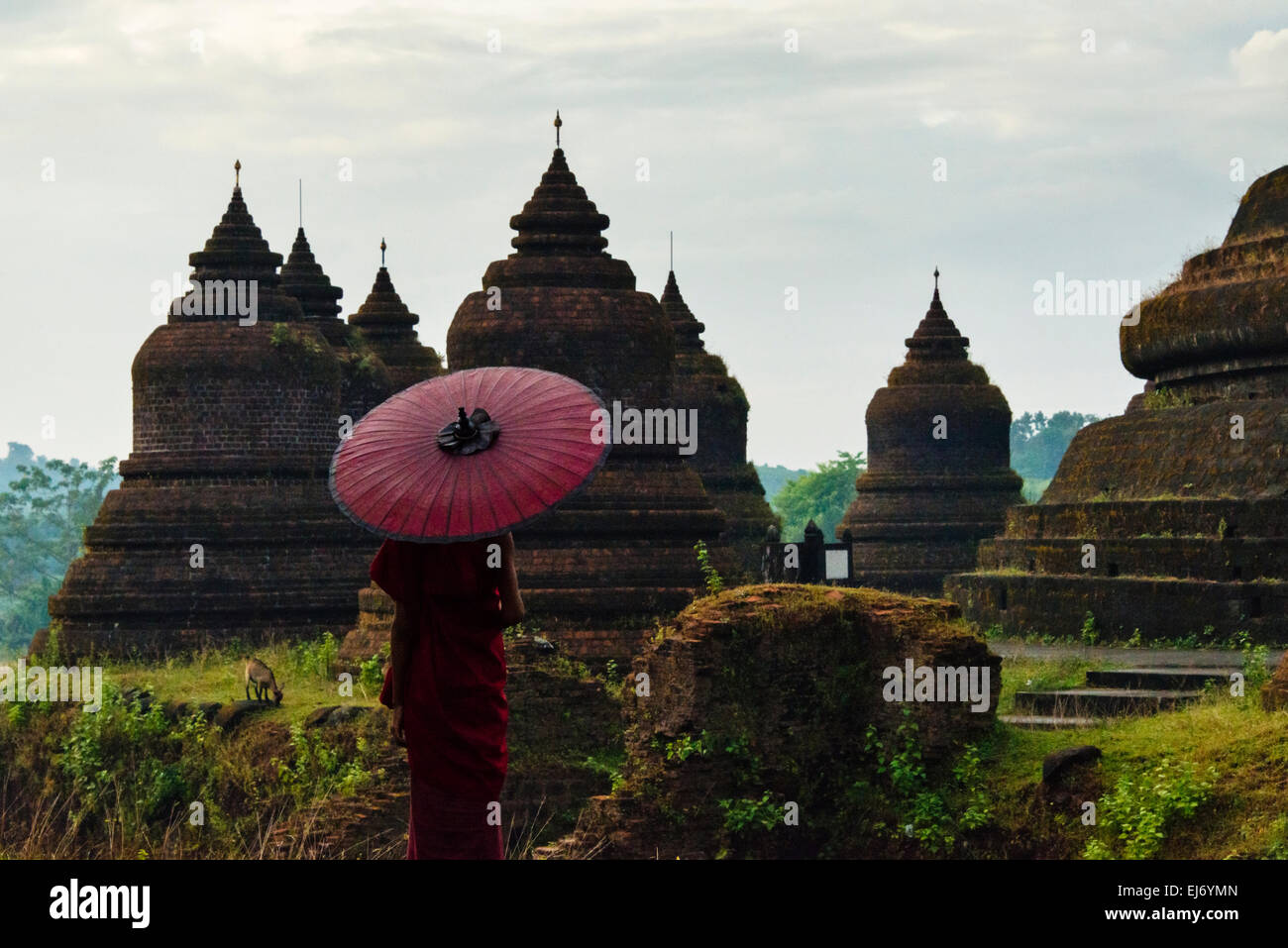 Mönch mit roten Regenschirm mit Andaw-Thein Tempel, Mrauk U, Rakhine State in Myanmar Stockfoto