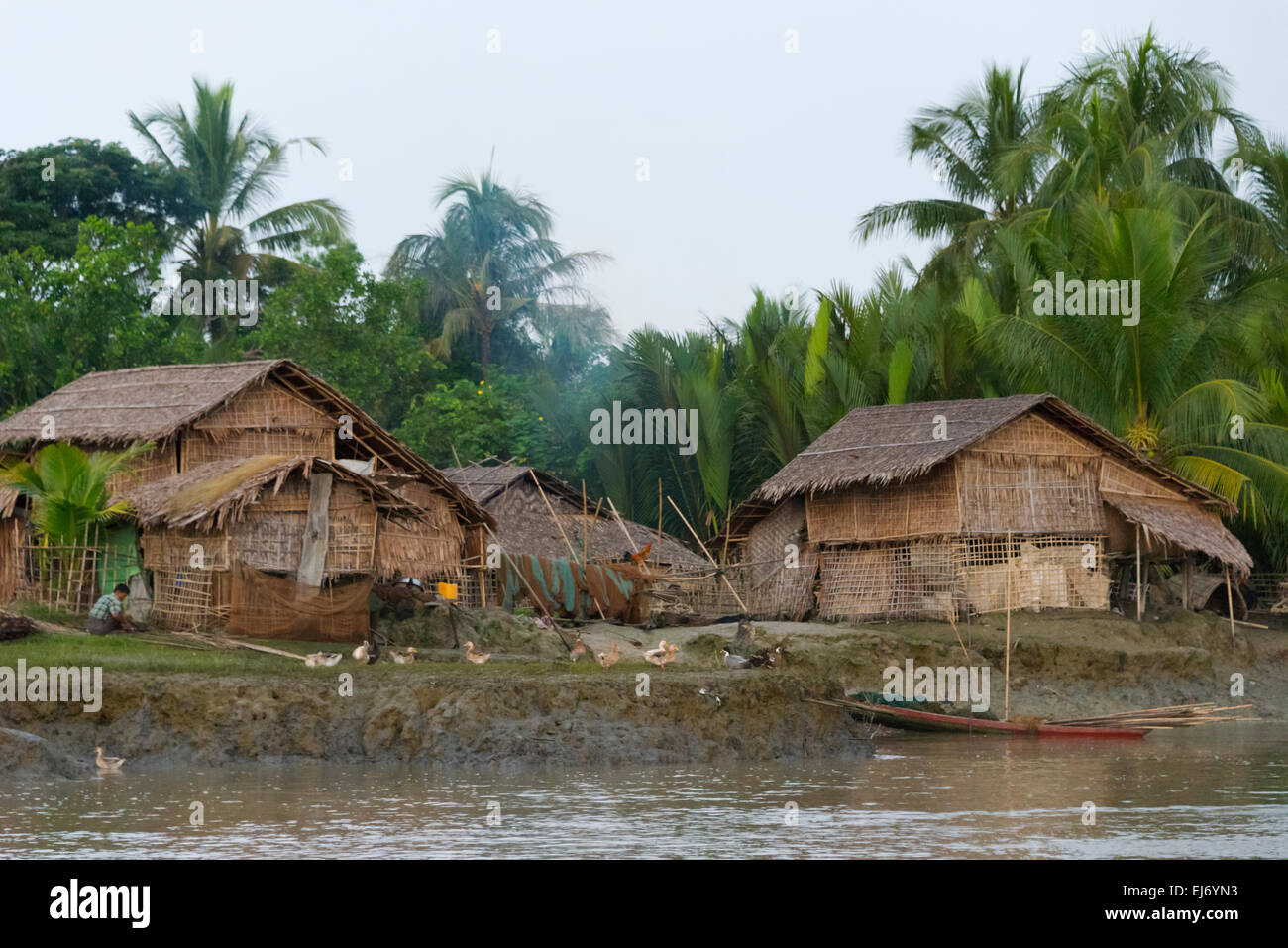 Dörfern Häuser am Fluss Ufer des Kaladan zwischen Mrauk-Sie und Sittwe, Rakhine State in Myanmar Stockfoto