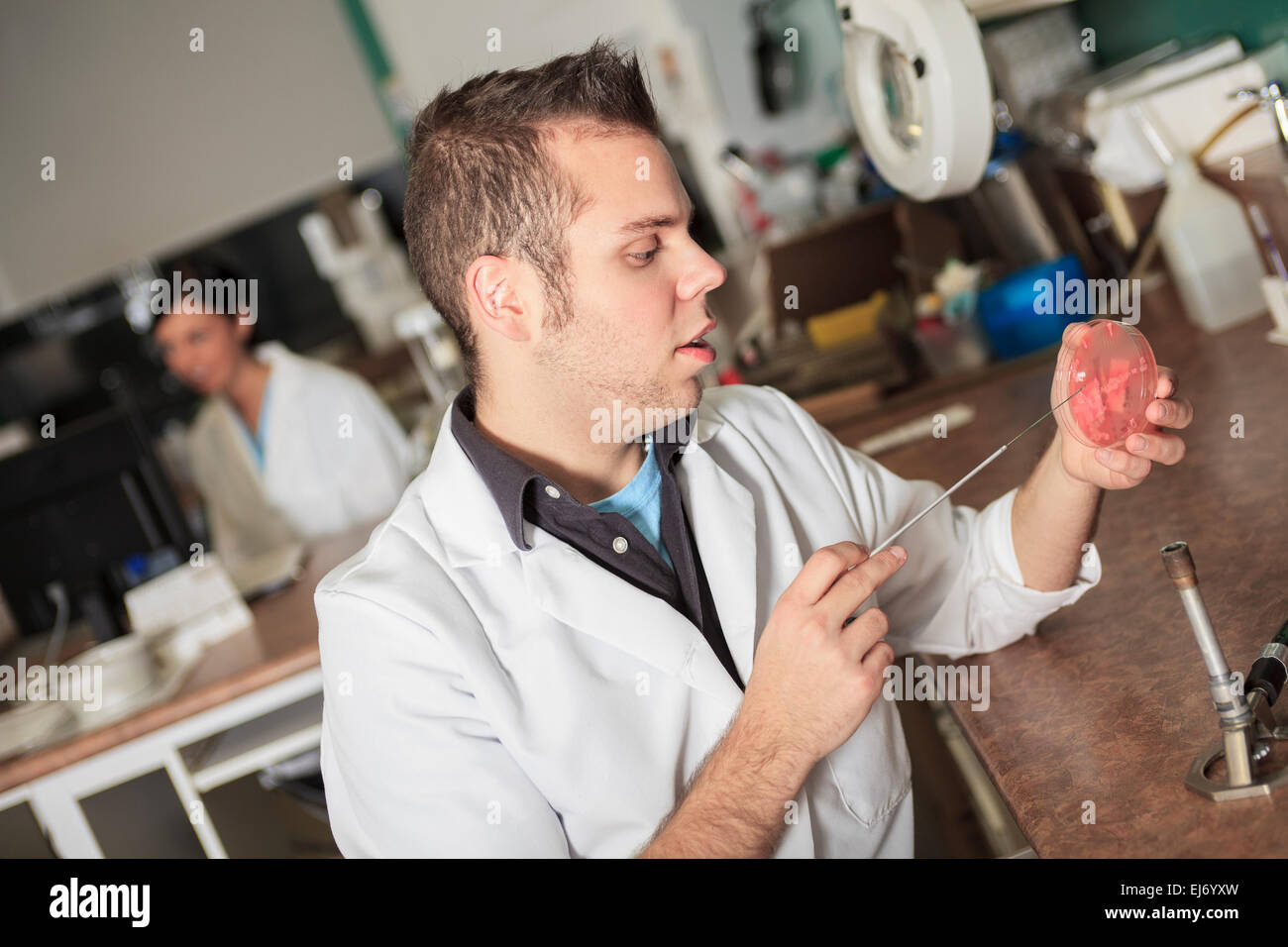 Wissenschaftler bei der Arbeit in einem Labor Stockfoto