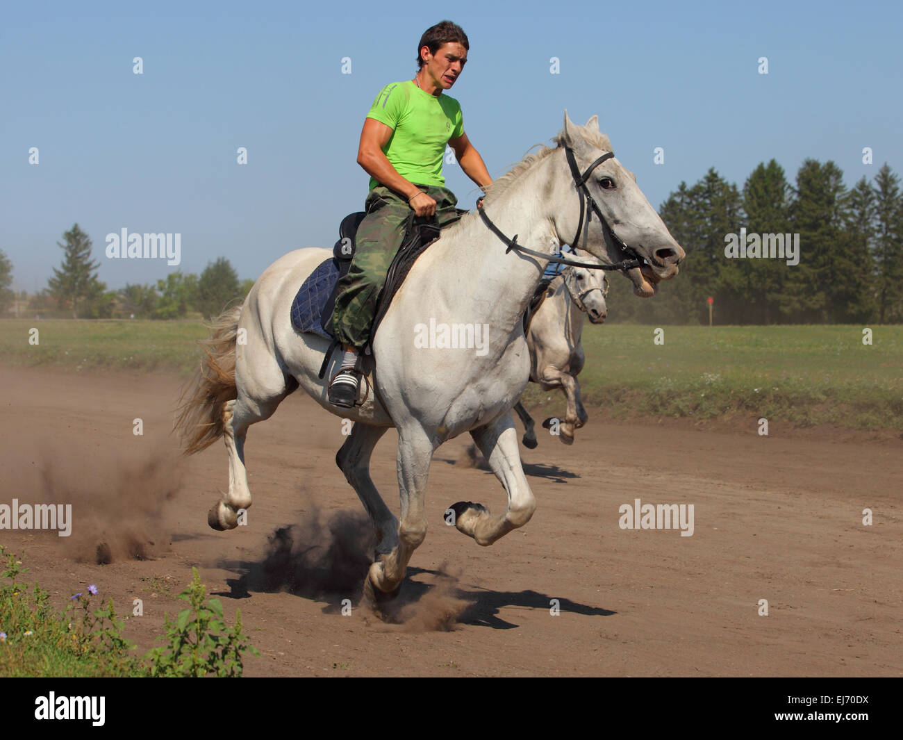 Reiter in einer Rennpferde während eines traditionellen Sommerfestivals in Russland Stockfoto