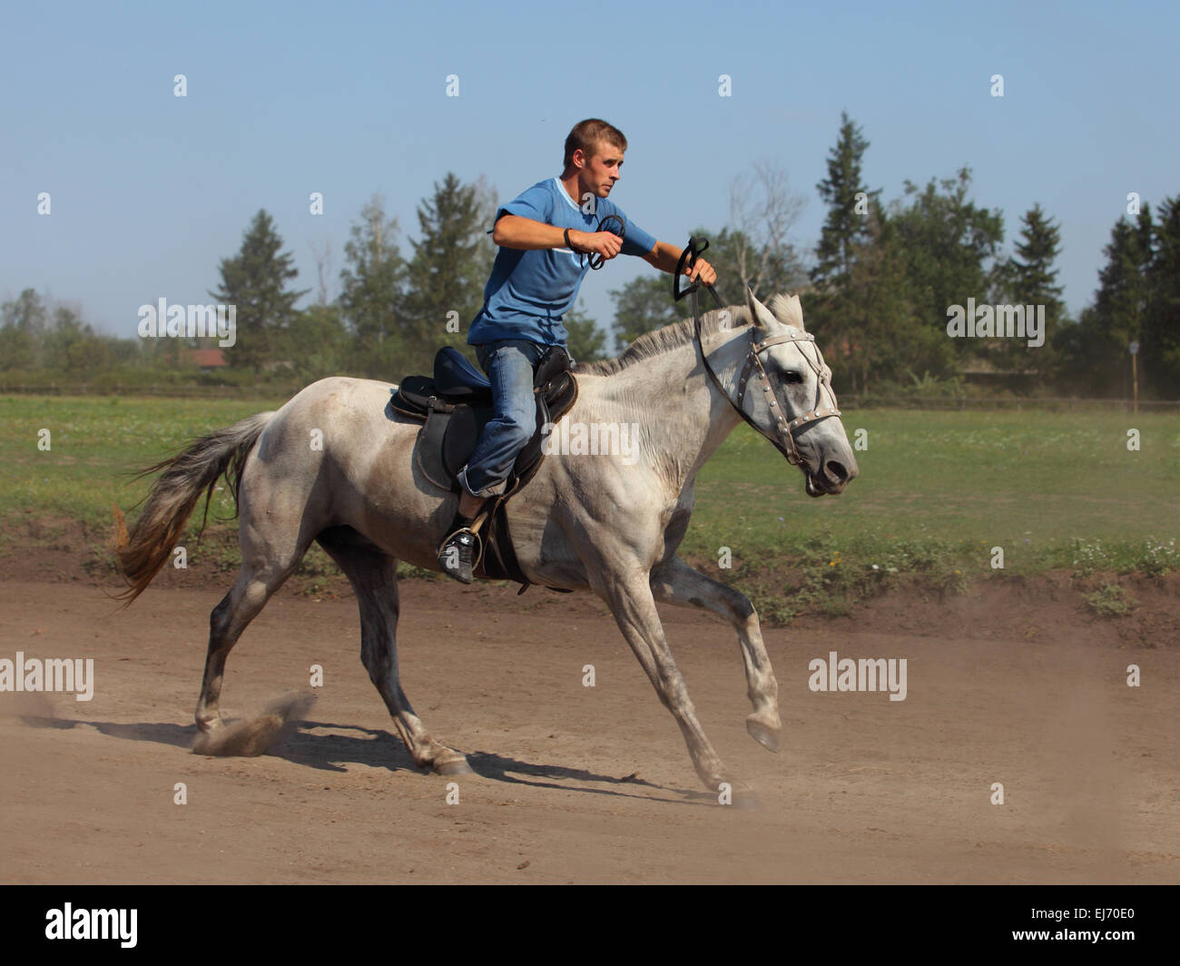 Reiter in einer Rennpferde während eines traditionellen Sommerfestivals in Russland Stockfoto