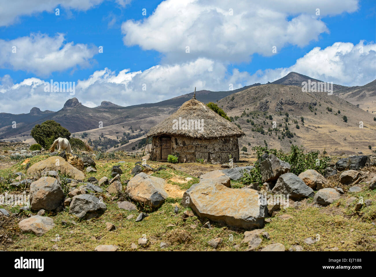 Oromo Rundhütte mit Reetdach in einer bergigen Landschaft Teil des äthiopischen Hochland, Bale, Bono, Äthiopien Stockfoto