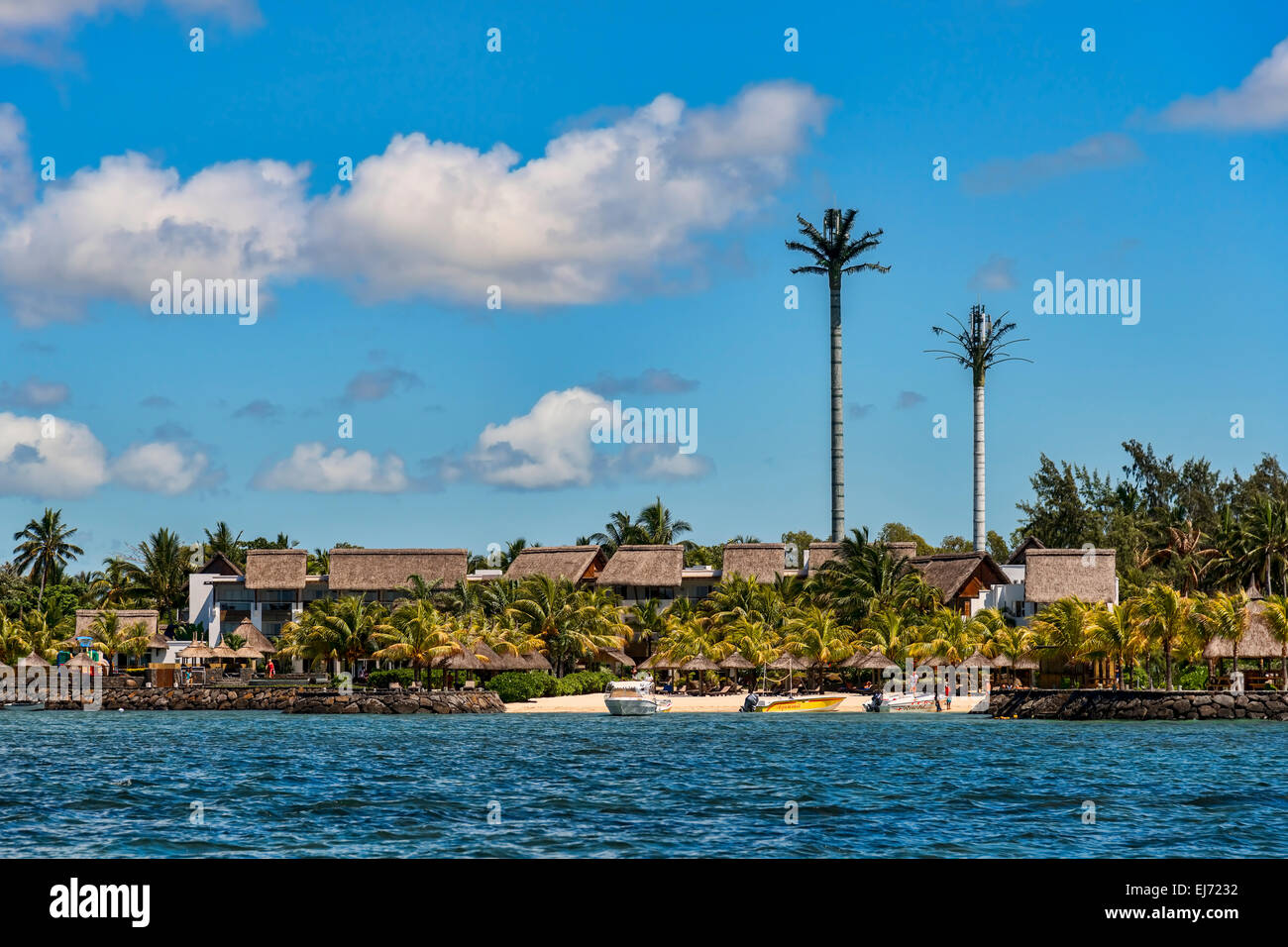 Mobilfunkmasten getarnt als Palmen, Ile Aux Cerfs, Mauritius Stockfoto