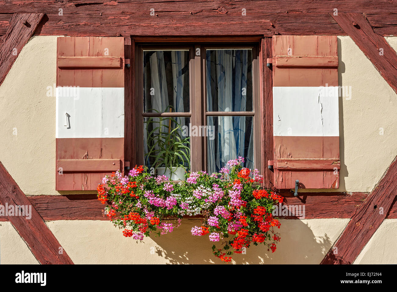 Fenster mit Geranien (Pelargonium SP.) auf das Fachwerkhaus, Secretariat Building, äußeren Burghof, Kaiserburg Stockfoto