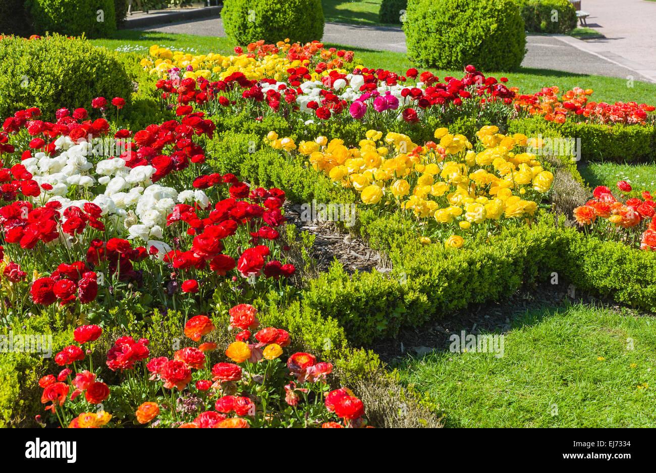 Blumenbeete Parc de l'Orangerie park Strasbourg Elsass Frankreich Europa Stockfoto
