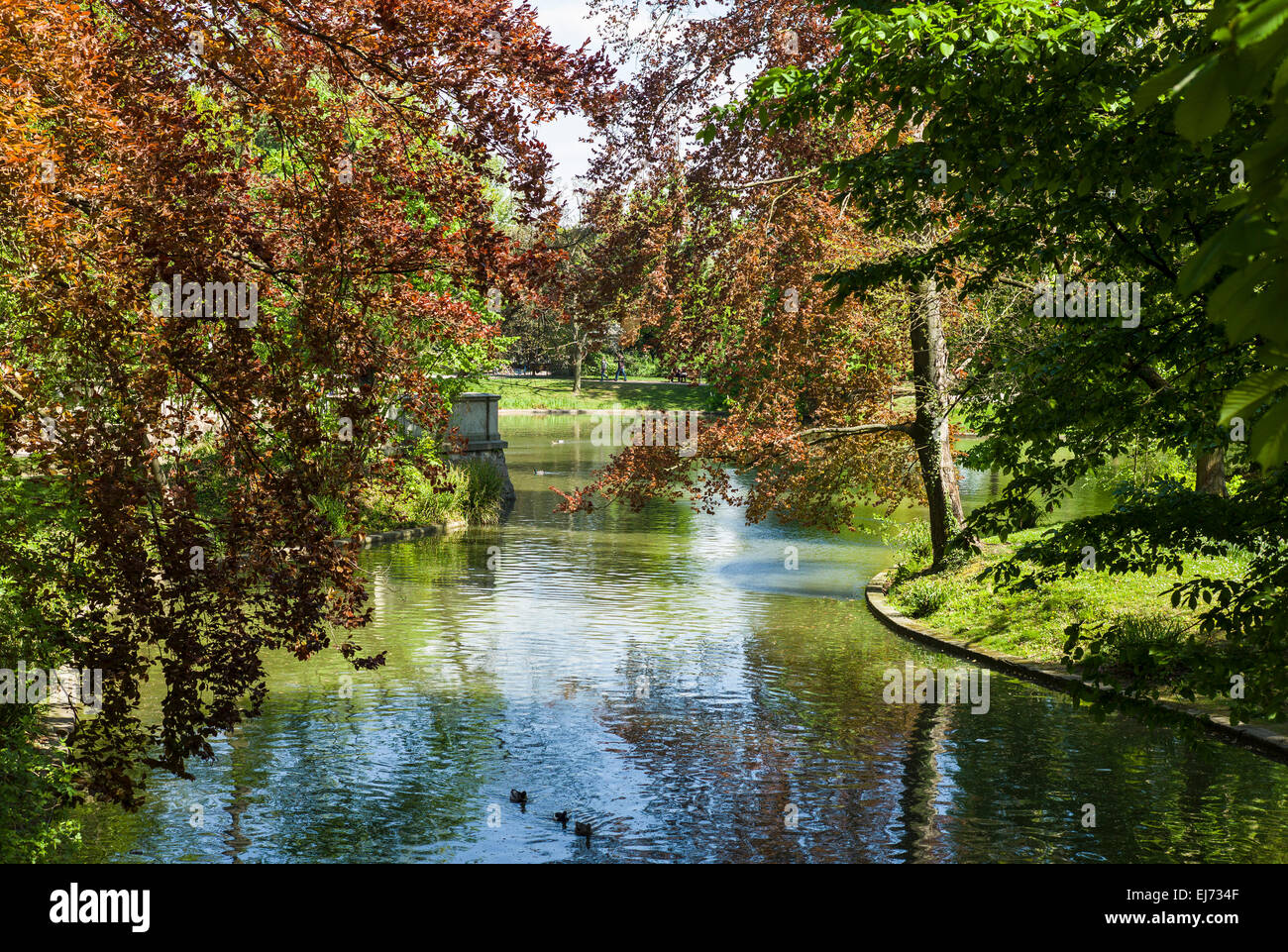 Teich Parc de l'Orangerie park Strasbourg Elsass Frankreich Europa Stockfoto