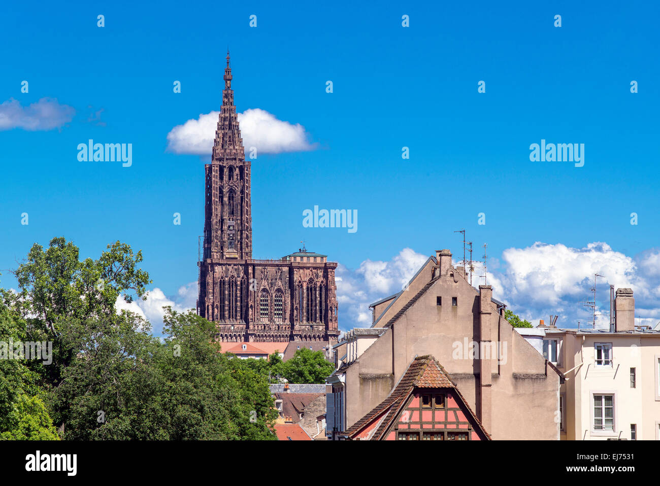 La Petite France Häuser und Notre-Dame gotische Kathedrale aus dem 14. Jahrhundert, Straßburg, Elsass, Frankreich, Europa Stockfoto
