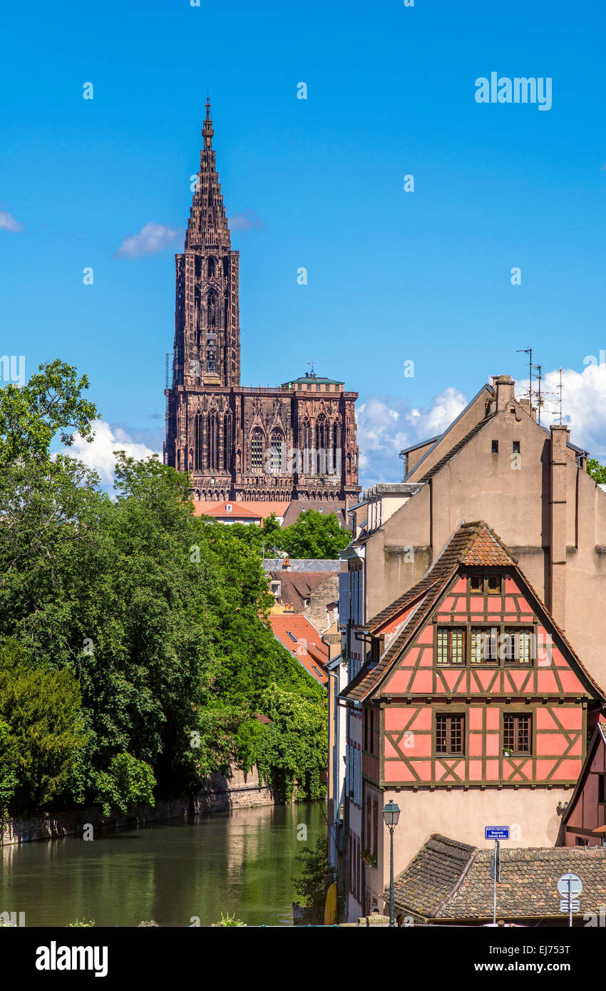 La Petite France Häuser und Notre-Dame gotische Kathedrale aus dem 14. Jahrhundert, Straßburg, Elsass, Frankreich, Europa Stockfoto