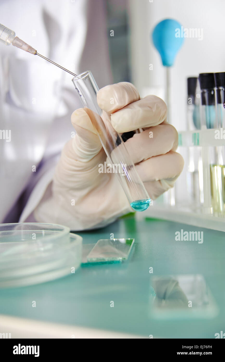 Wissenschaftliche Forschung. Stockfoto