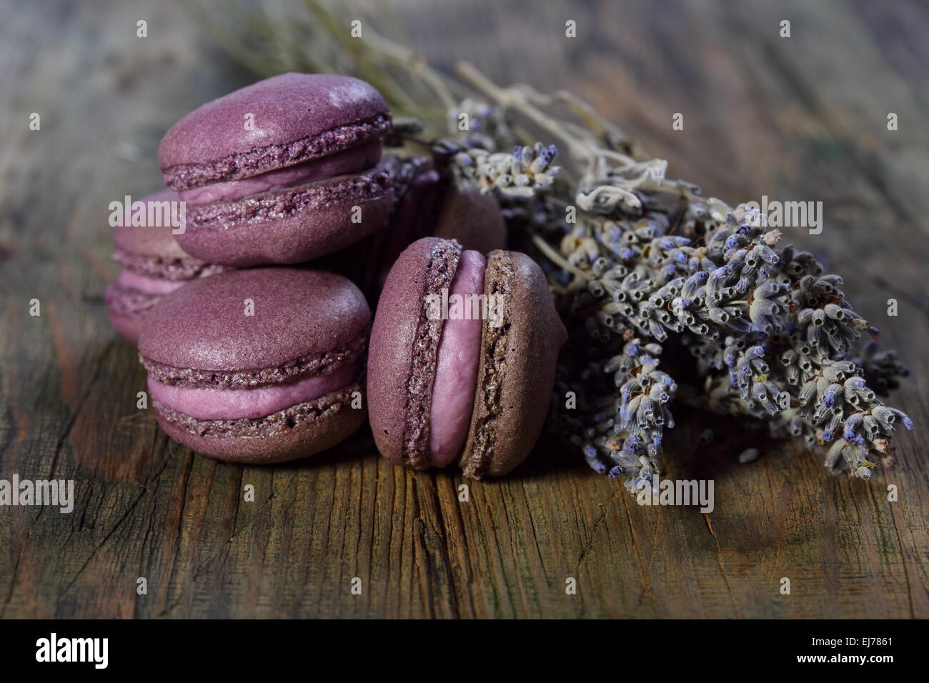 Lavendel-Makronen. Stockfoto