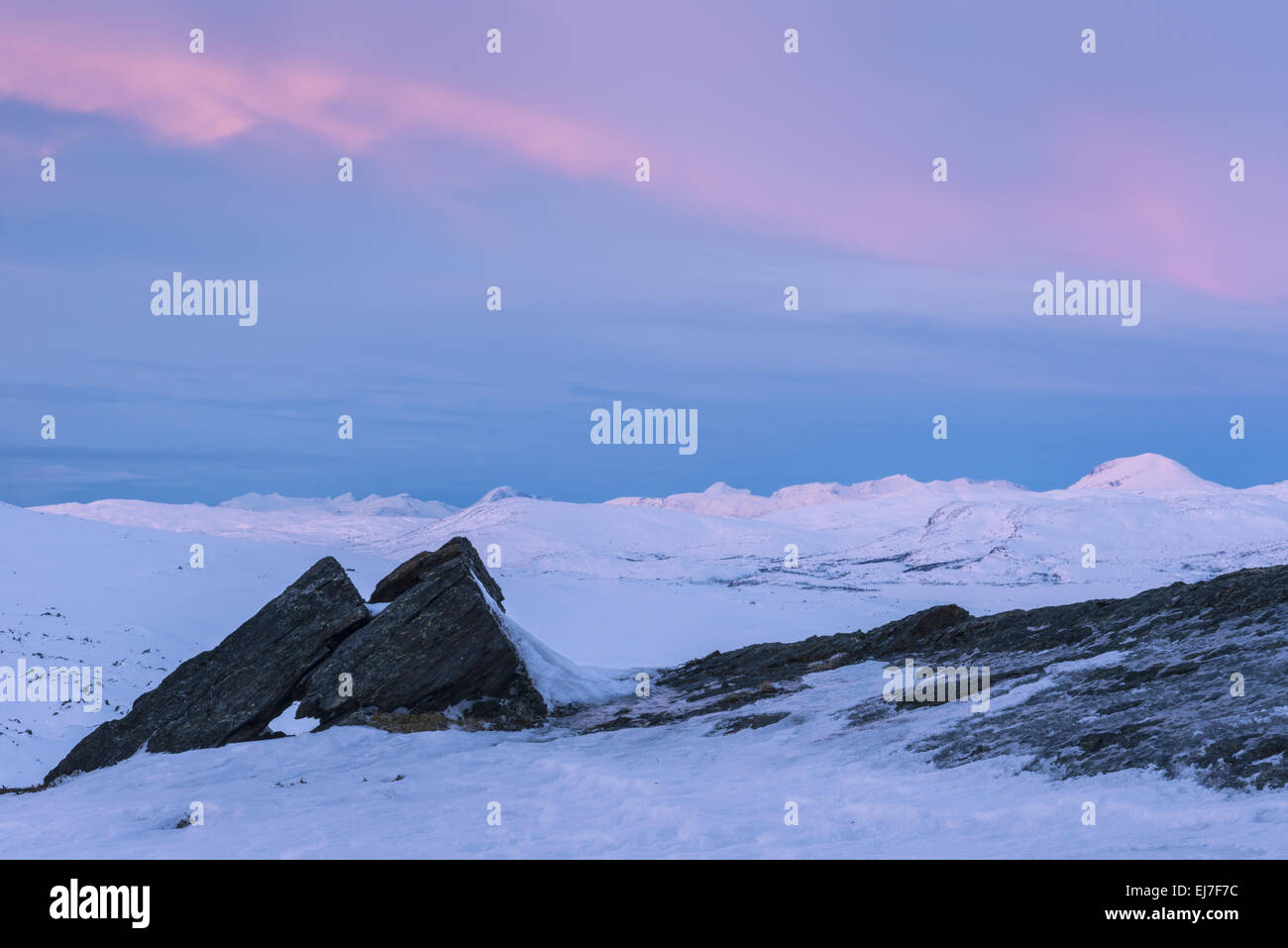 Landschaft in der Mitte des Winters Licht, Lappland, Schweden Stockfoto