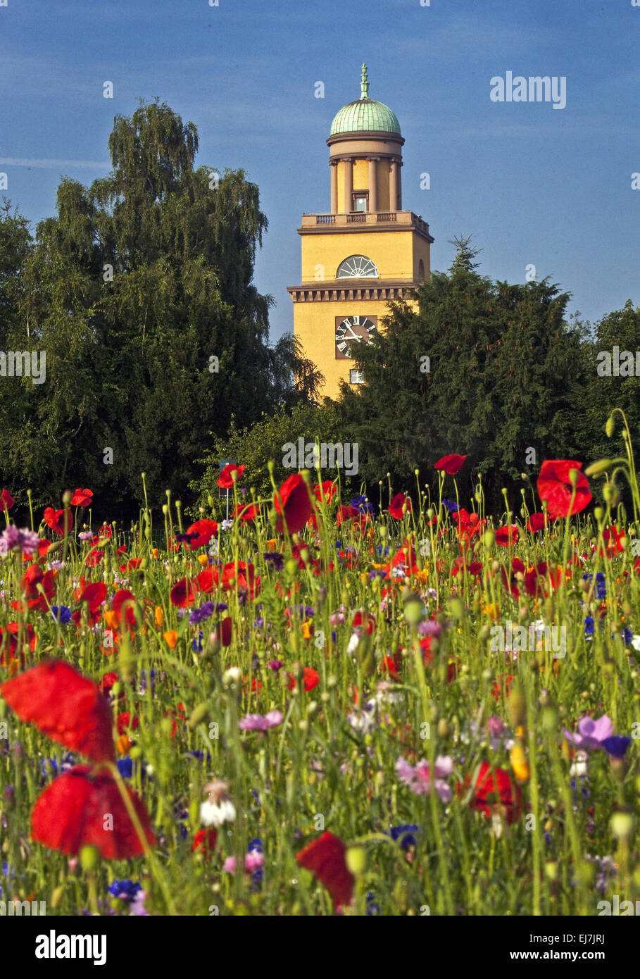 Rathaus, Witten, Deutschland Stockfoto