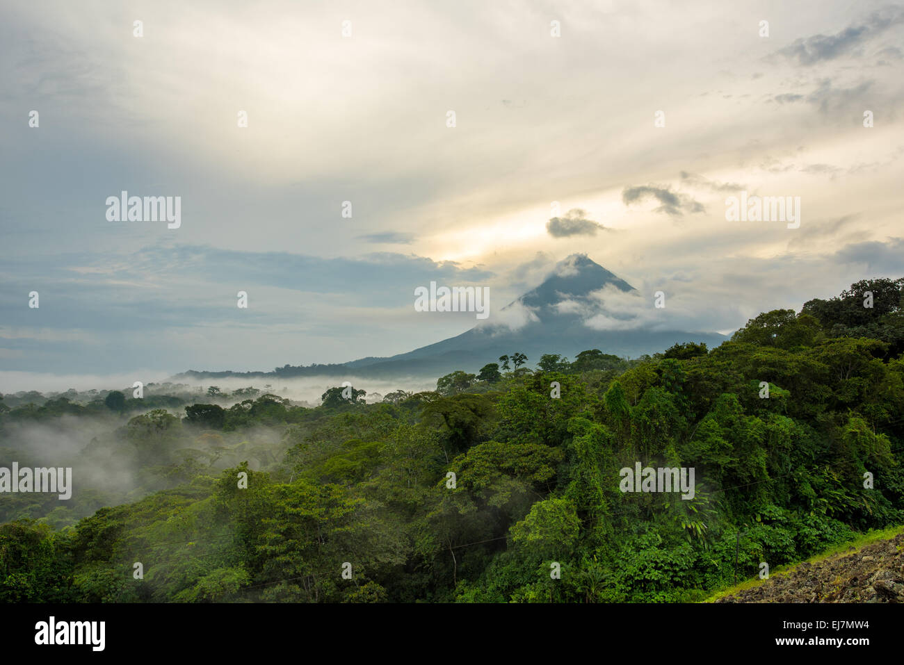 Costa Rica Nebelwald, Regenwald grüne grüne Hölle schön ergreifend schützenswerte natürliche Gesundheit gesundes Reisen Tourismus Stockfoto
