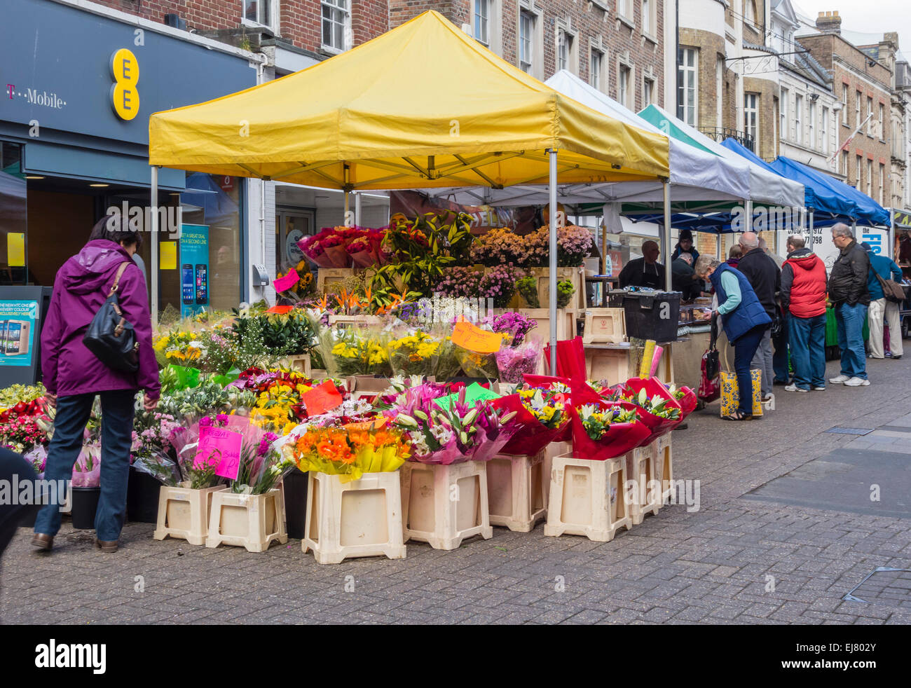 Blume Abschaltdruck am Markt im Freien in Dorchester, Dorset, England, Großbritannien Stockfoto
