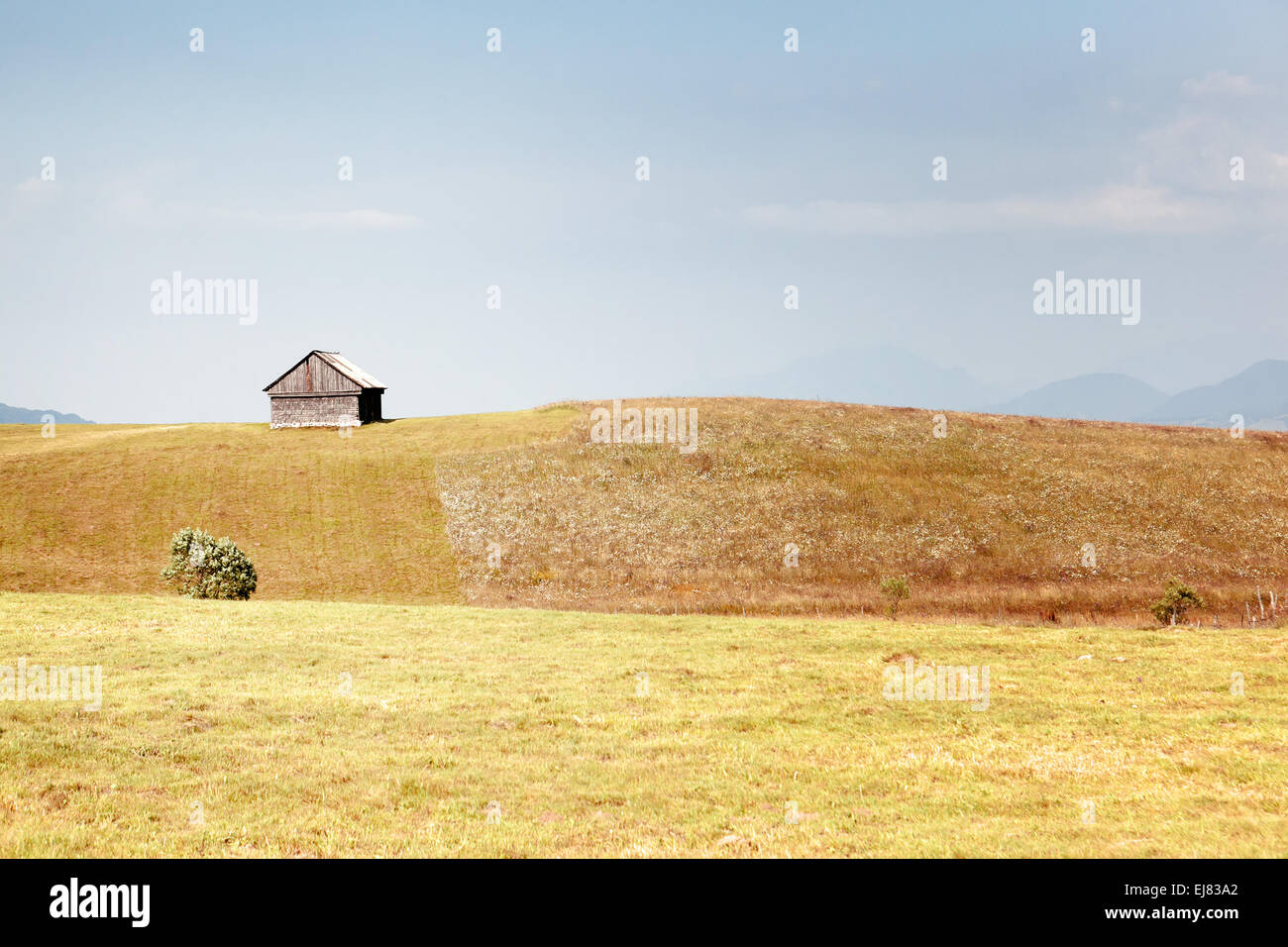 Sommerlandschaft - Wiese, alte Hütte und blauer Himmel Stockfoto