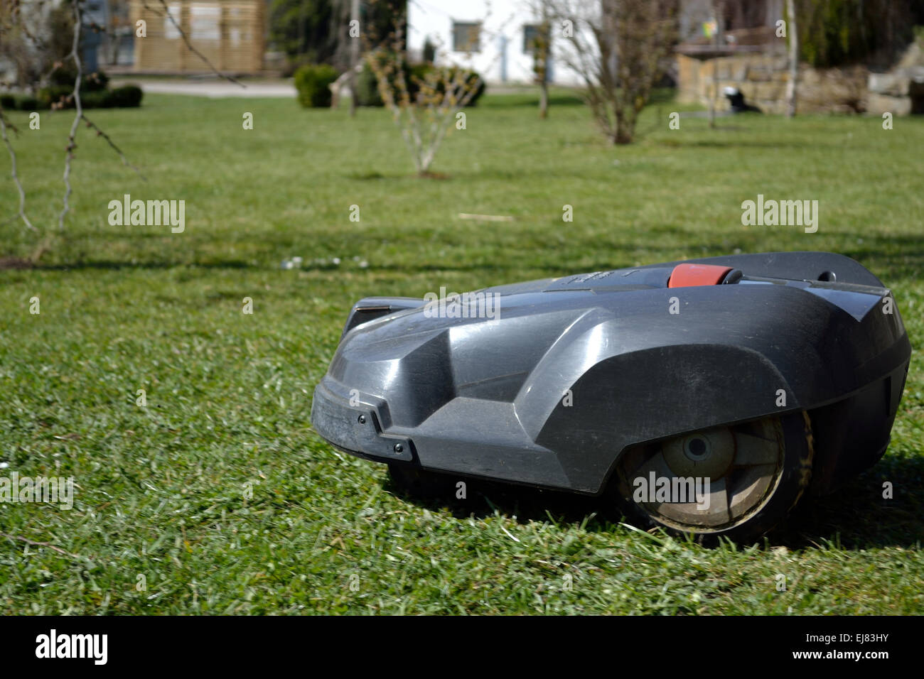 Roboter-Rasenmäher schneidet Rasen Stockfoto