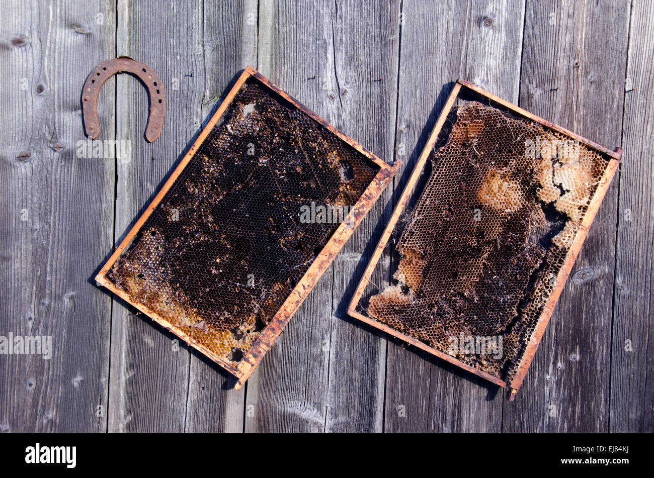 zwei alte Waben Biene Kamm und rostigen Hufeisen auf Holz Bauernhof Wand Stockfoto