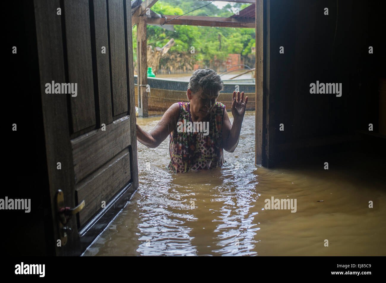 2015 Überschwemmungen im brasilianischen Amazonas Vertriebenen zurückkehren zu überfluteten Haus in Taquari Bezirk, Rio Branco Stadt, Bundesstaat Acre. Gilca Goncalvez Cunha, 65, findet ihr Haus mit dem Wasserstand oberhalb der Taille, nachdem er einige Tage bei Relatives´ Häuser überflutet. Überschwemmungen haben Tausende von Menschen im Bundesstaat Acre, Nordbrasilien, seit 23. Februar 2015, betroffen worden als einige der Flüsse des Landes, insbesondere Flusses Acre übergelaufen. Stockfoto