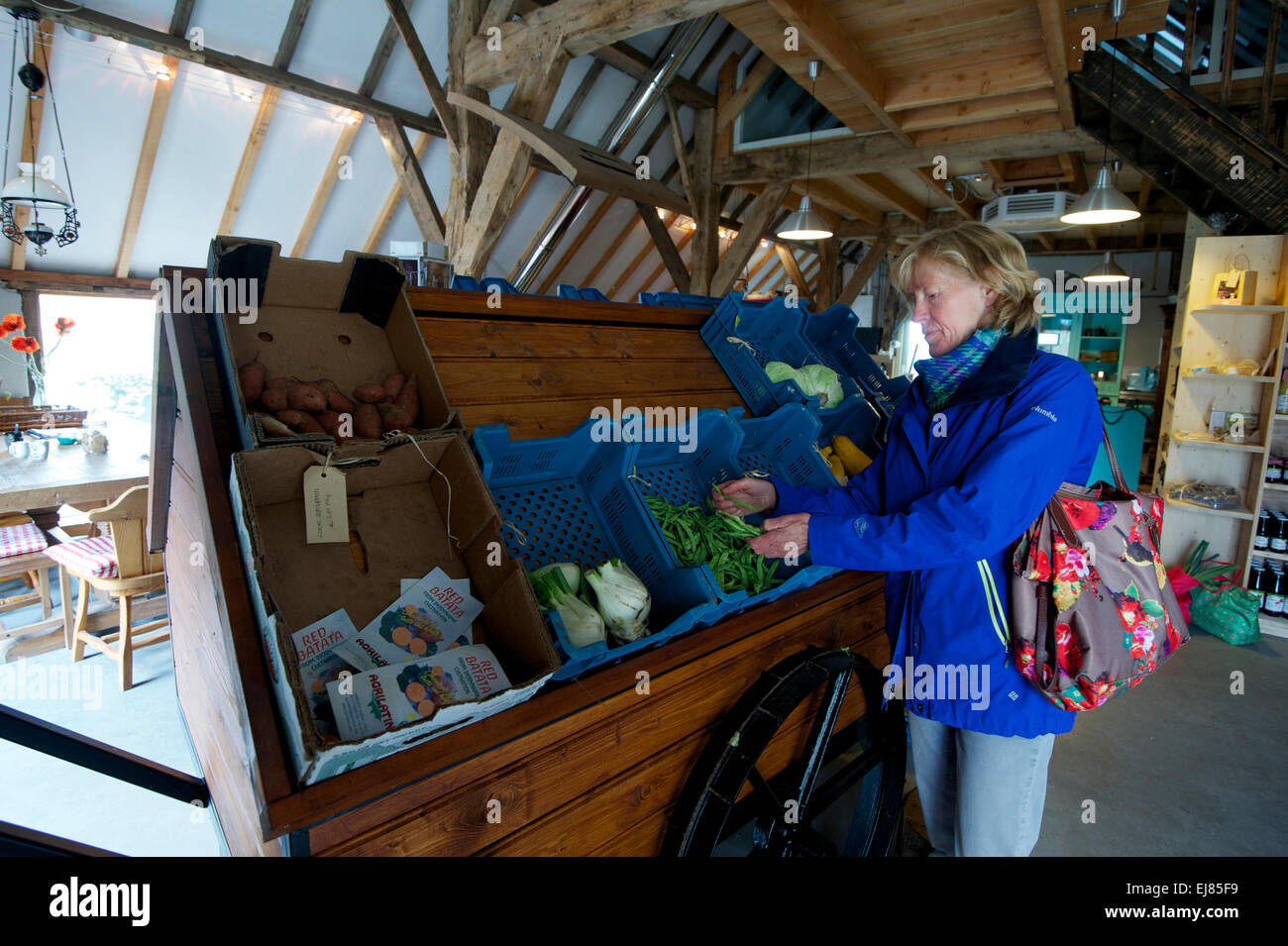 Den Niederlanden. Barneveld. 24.09.2014. eine Frau kaufen Gemüse auf einem Bauernhof. Stockfoto