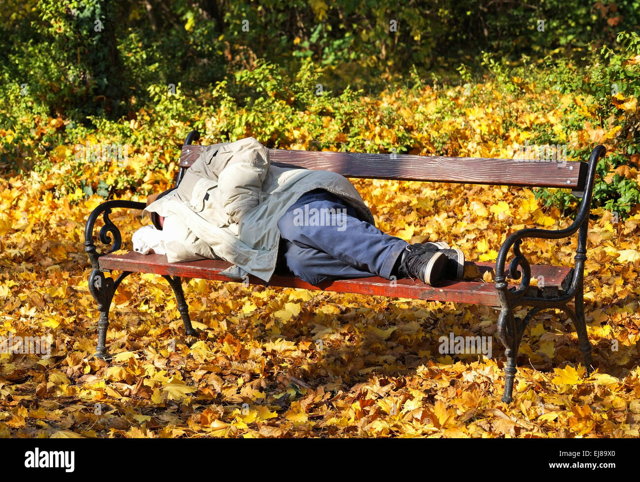 Obdachloser schläft auf einer Parkbank im Wald Stockfoto