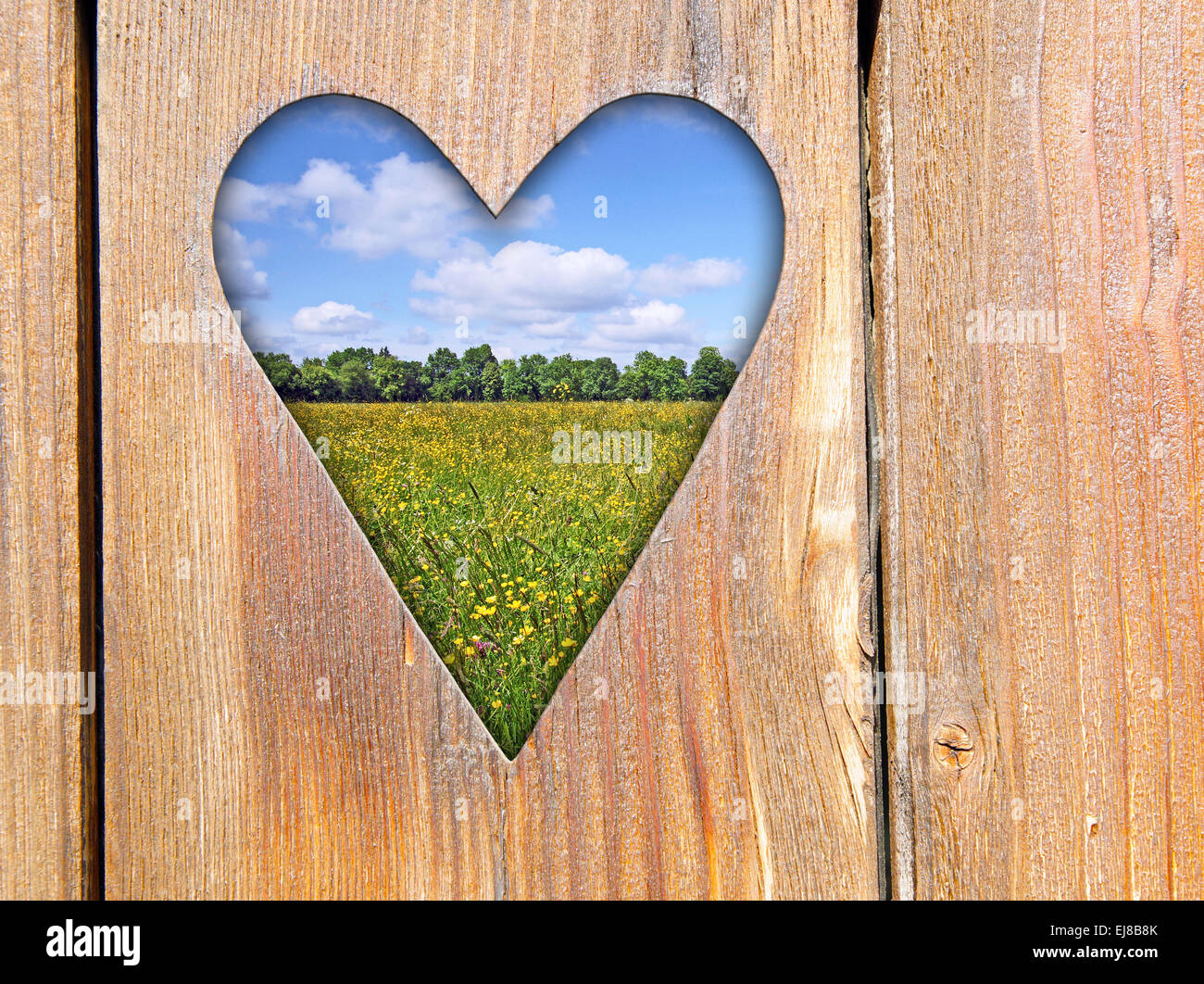 Aus liebe zur natur Fotos und Bildmaterial in hoher Auflösung Alamy