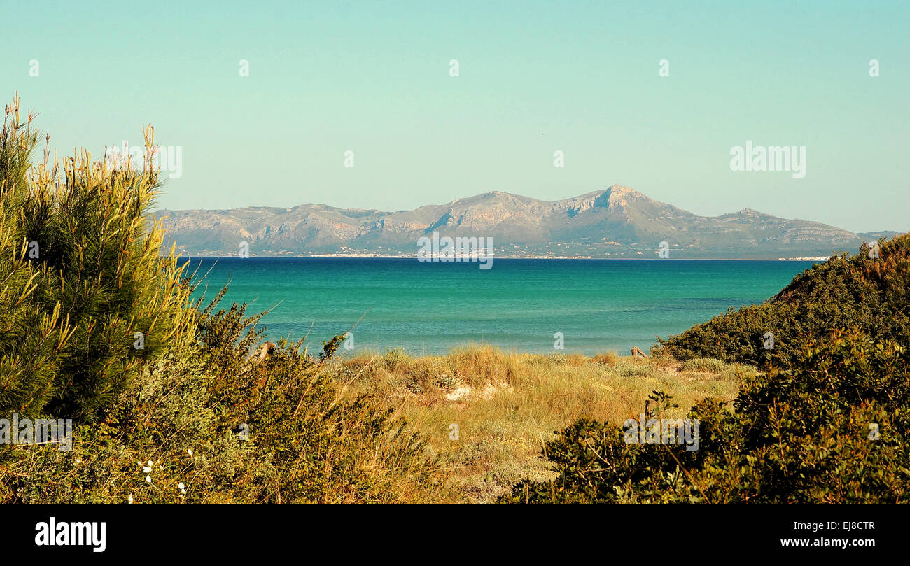 Bucht von Alcudia Spanien Mallorca Stockfoto