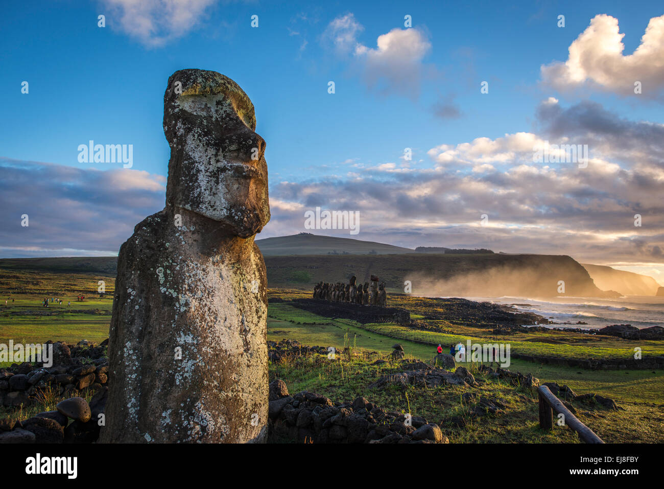 "Unterwegs" Moai im Vordergrund mit Tongariki im Hintergrund, Rapa Nui, Osterinsel, Chile Stockfoto