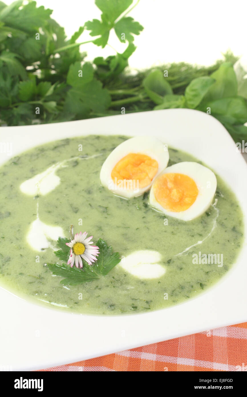 Grüne Kräuter-Suppe mit Eiern und einem Klecks Sahne Stockfoto