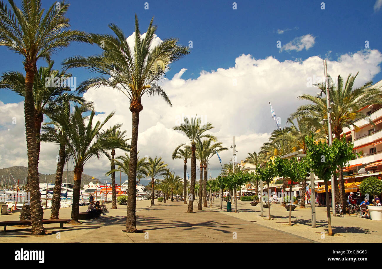 Port d'Alcudia Mallorca Spanien Stockfoto