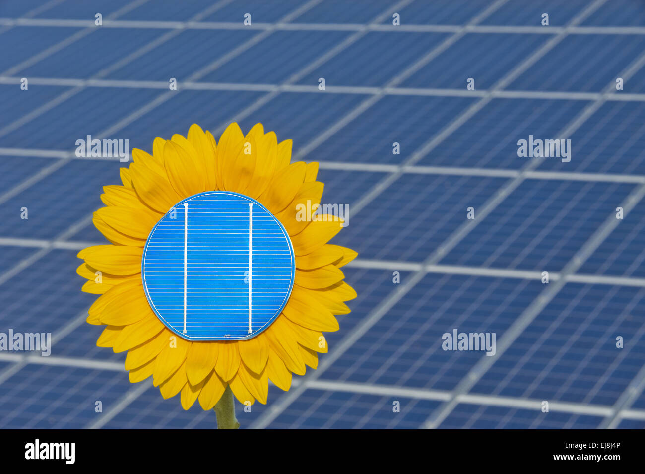 erneuerbare Sonnenenergie mit Blumen- und pannel Stockfoto