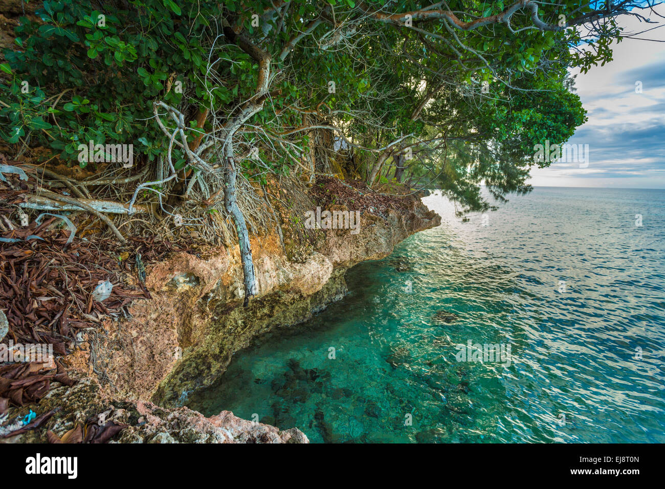 Felsige Küste der Gefängnisinsel Stockfoto