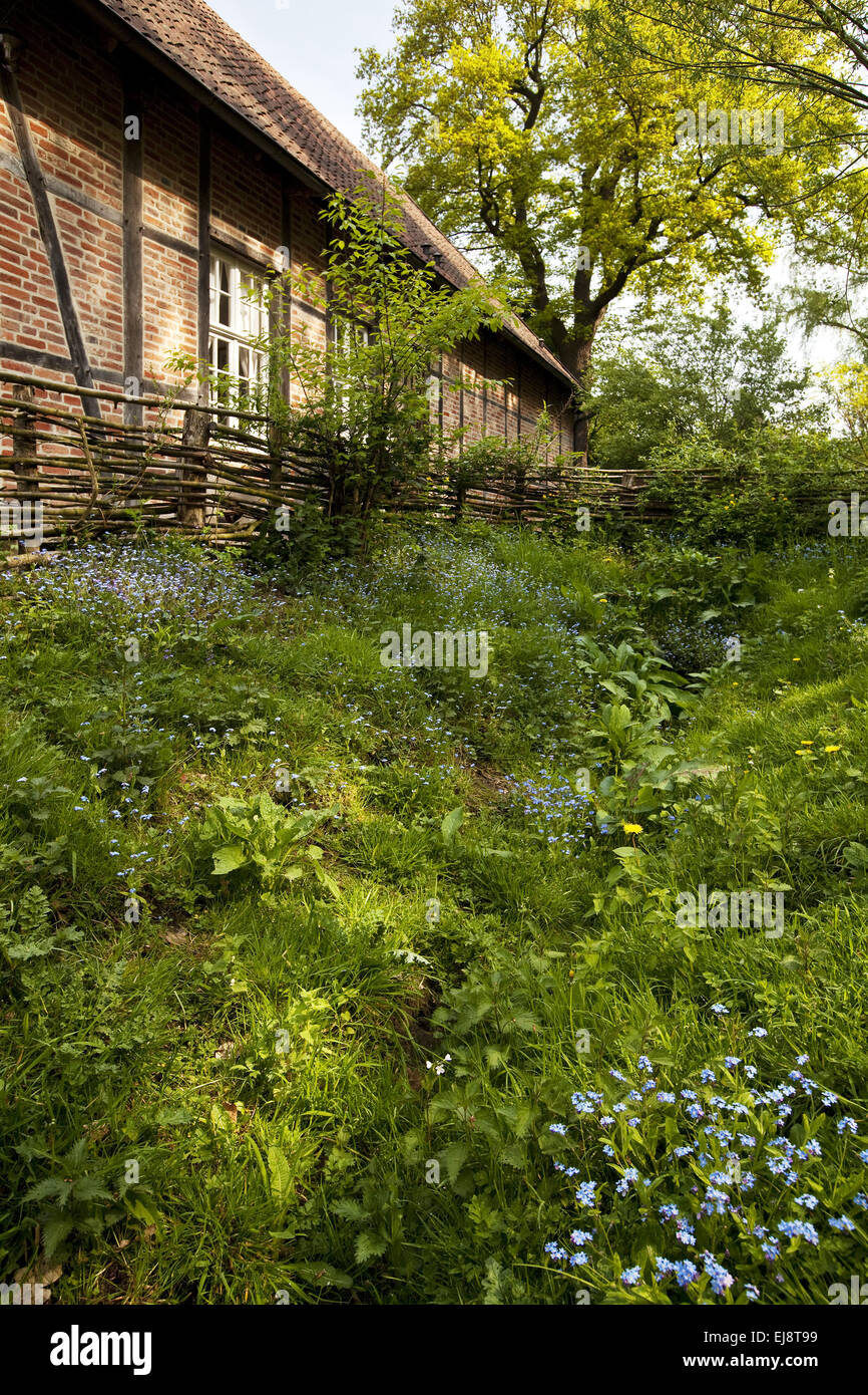 Muehlenhof Open Air Museum, Münster, Deutschland Stockfoto