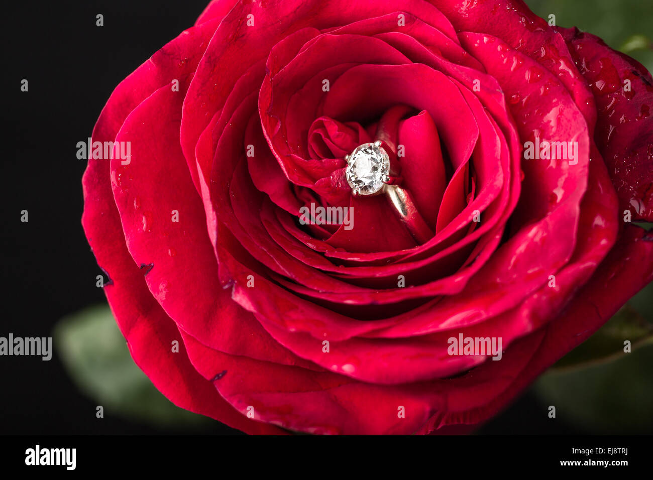 Perfekte Valentinstag Geschenk Stockfoto