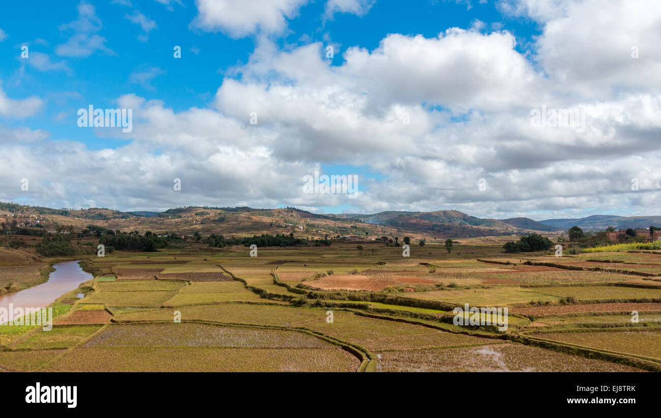 Natürlich schöne Madagaskar Stockfoto