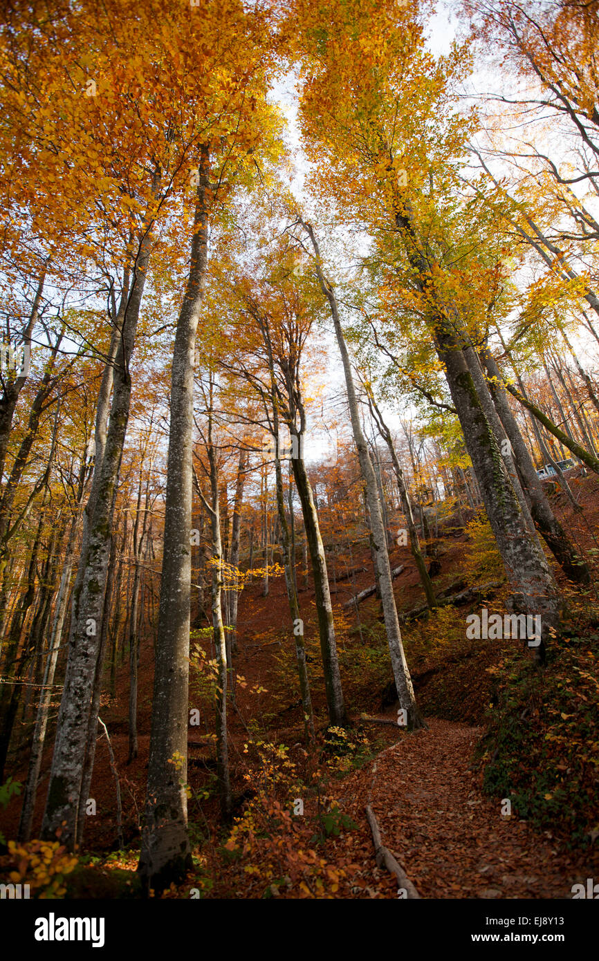 In den See Nationalpark Plitvice, Croacia Trail Stockfoto