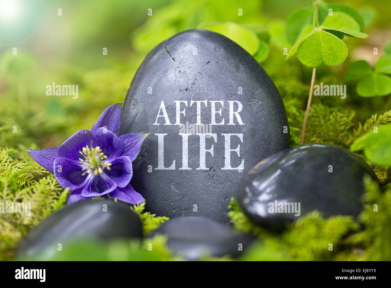 Schwarzer Stein mit den Worten "Afterlife" Stockfoto