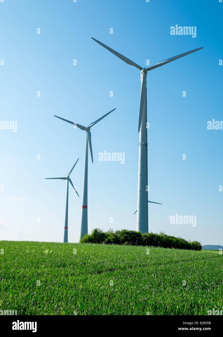 Windräder, Felder und blauer Himmel Stockfoto