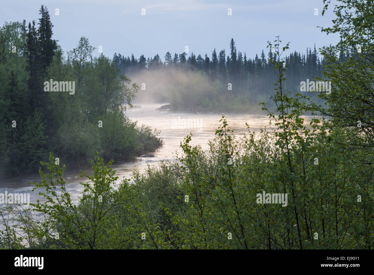 neblige Stimmung am Fluss Sjaunjaaedno, Lappland, Schweden Stockfoto